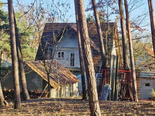 Haus mit üppigen Baumbestand