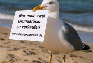 Nur noch zwei Grundstücke 