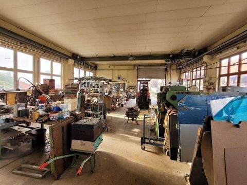 Niederaula Halle, Niederaula Hallenfläche