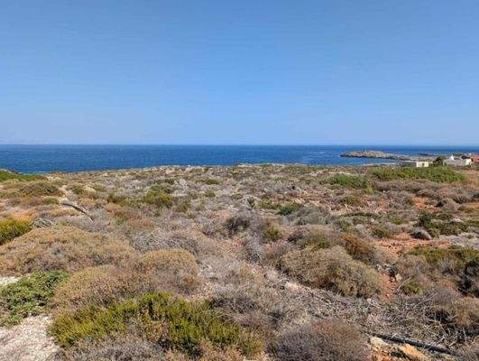 Kreta, Stavros: Küstengrundstücke mit Baugenehmigung und Meerblick zu verkaufen