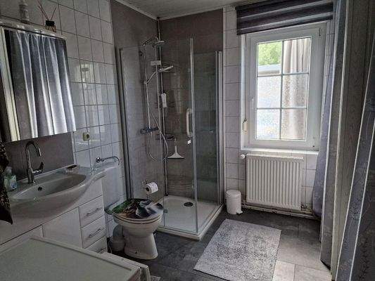 EG Duschbad 2024 renoviert