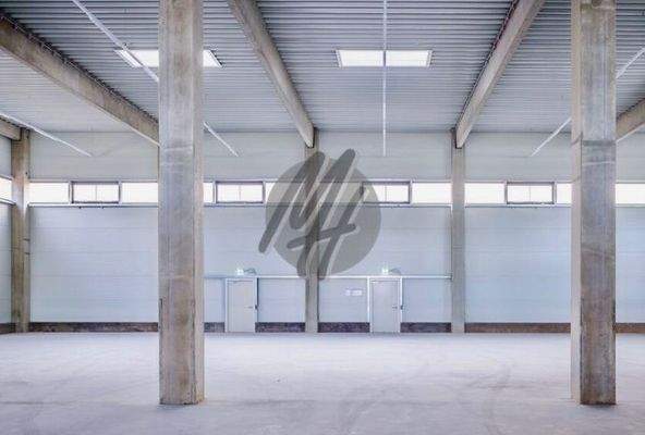 INFOS UNTER: 06171-586000