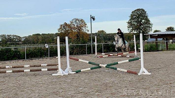 Dressurplatz mit Flutlicht (20 x 60m)
