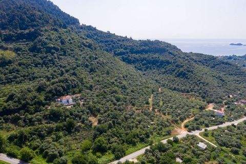Thassos, Chrysi Ammoudia Grundstücke, Thassos, Chrysi Ammoudia Grundstück kaufen