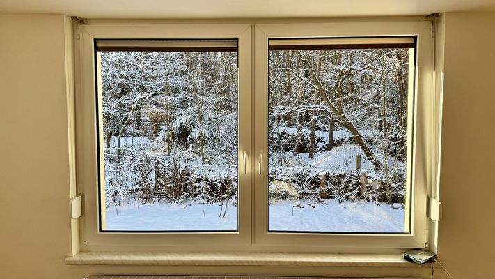 Blick in den Wald aus dem Gästezimmer im Januar