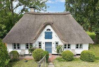 Idylle unter Reet