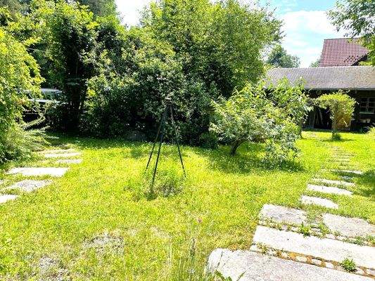 Garten mit Weg Richtung Werkstatt und Carport