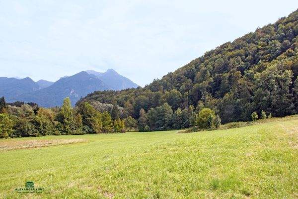 Bauernhof, Immobilien-Kurz-Salzburg