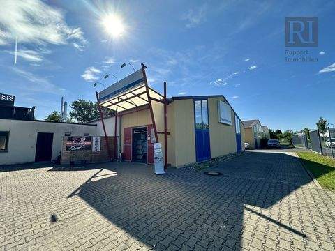 Kitzingen Halle, Kitzingen Hallenfläche