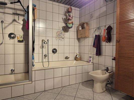 Badezimmer Hauptwohnung