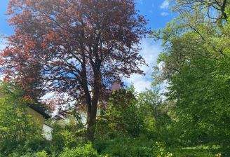 Baugrundstück Nähe Amundsenstr.