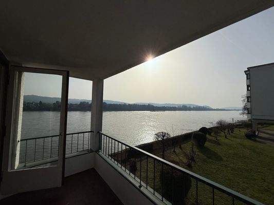 Rheinblick vom Balkon