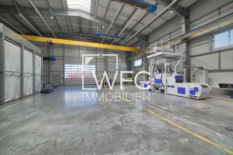 Stuttgart Halle, Stuttgart Hallenfläche