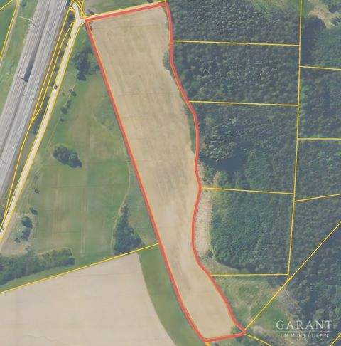 Mering Bauernhöfe, Landwirtschaft, Mering Forstwirtschaft