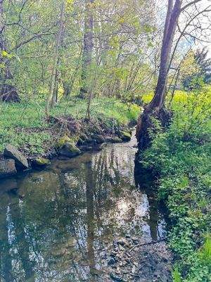 Rosenhainer Wasser (3)