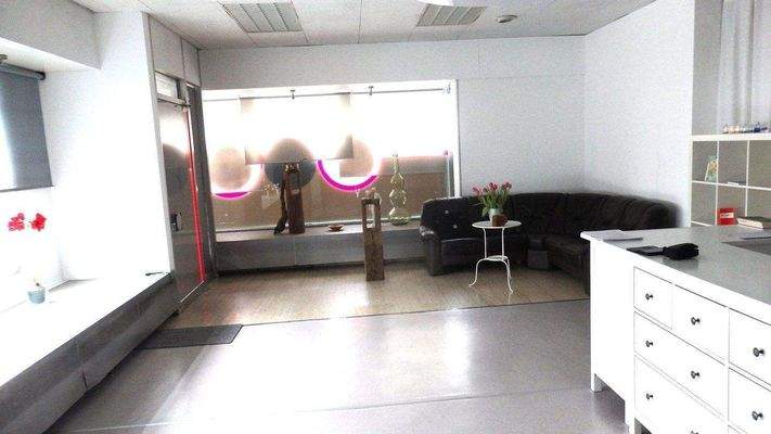 große Freifläche, Eingang