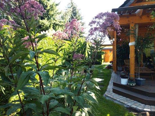 Einfriedende Bepflanzung.JPG