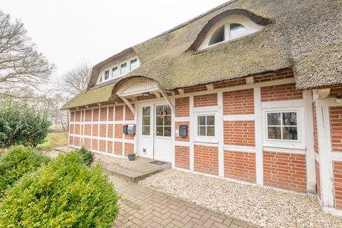 Hemmoor Häuser, Hemmoor Haus kaufen