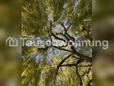 Hannover Wohnungen, Hannover Wohnung mieten