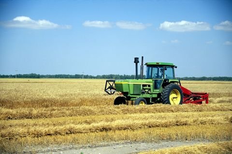 Dillingen Bauernhöfe, Landwirtschaft, Dillingen Forstwirtschaft
