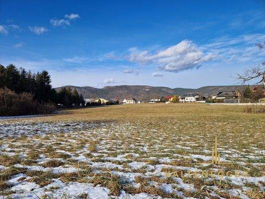 Sicht vom Grünland auf das Bauland