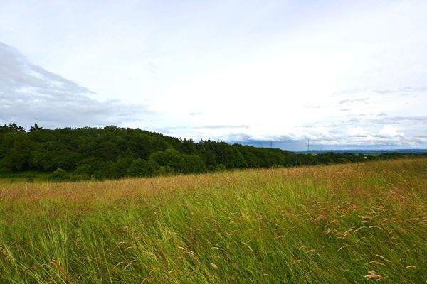 Herrliche Rand- u. Blicklage