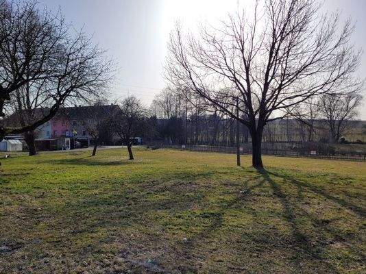 Die Baugrundstücke in der Abendsonne