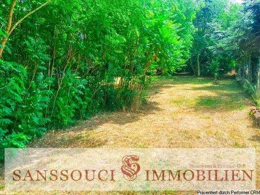 Busch- und Strauchwerk