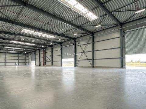 Münsingen Halle, Münsingen Hallenfläche