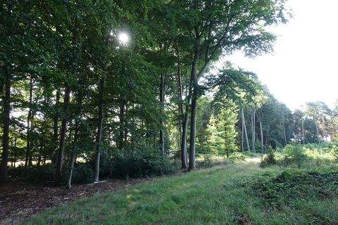 Wietzen Bauernhöfe, Landwirtschaft, Wietzen Forstwirtschaft