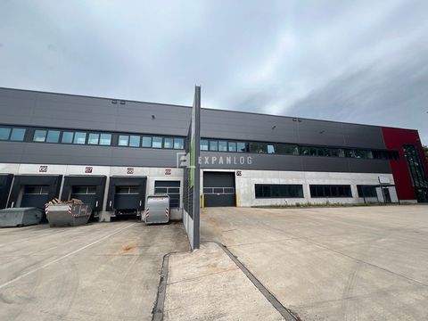 Langenfeld Halle, Langenfeld Hallenfläche