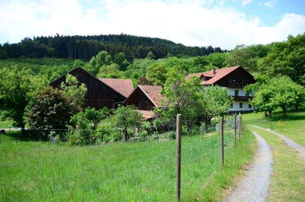 Perspektive von Osten