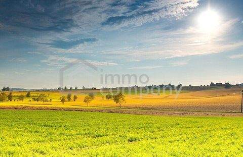 Purbach am Neusiedler See Grundstücke, Purbach am Neusiedler See Grundstück kaufen