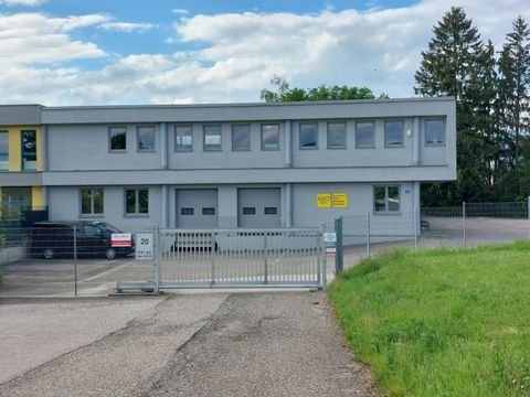 Haid Halle, Haid Hallenfläche