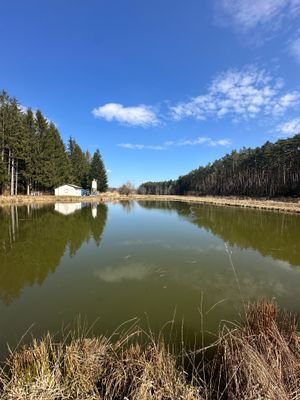 Fischweiher