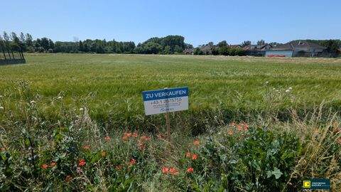 Trautmannsdorf an der Leitha Grundstücke, Trautmannsdorf an der Leitha Grundstück kaufen