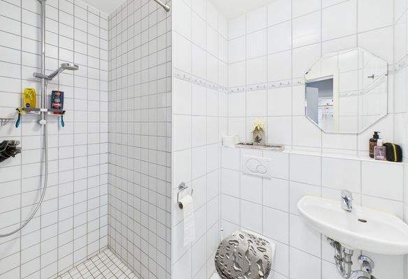 Gäste_WC inkl. Dusche.jpg