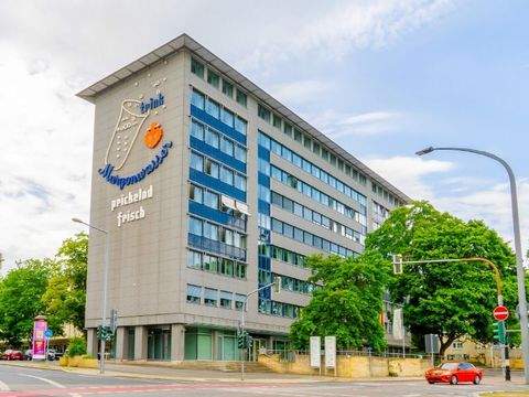 Dresden Ladenlokale, Ladenflächen 