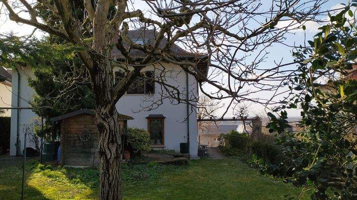 Garteneingang Wachenbergstr.