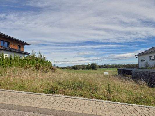 Blick von Zufahrtsstraße