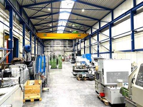 Korschenbroich Halle, Korschenbroich Hallenfläche