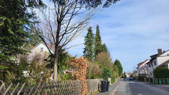 Ruhige Zufahrtstraße.jpg