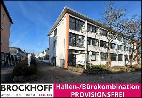 Essen Halle, Essen Hallenfläche