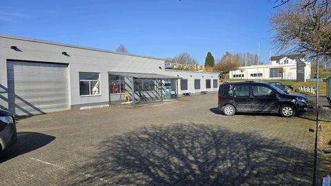 Hundsangen Halle, Hundsangen Hallenfläche