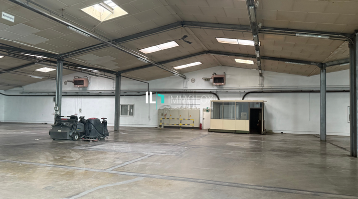 Telefon: 069 50699990