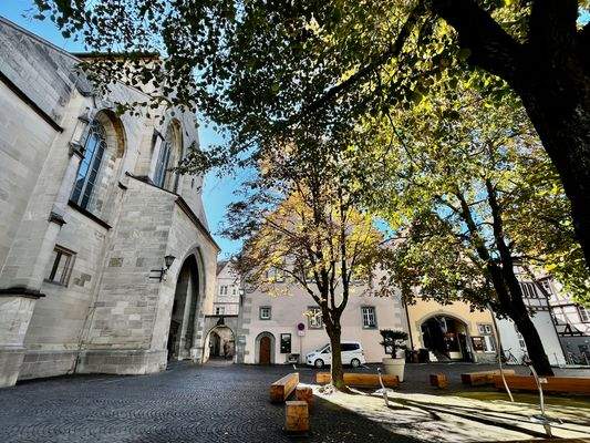 am beliebten Münsterplatz