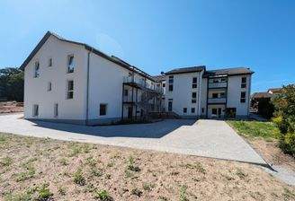 PXL_20250818_085510472 _edit.jpg