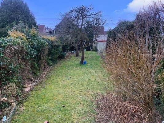 Blick von der Terrasse in den Garten