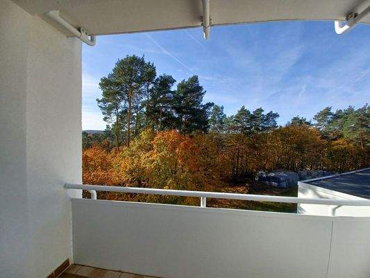 Balkon mit Waldblick