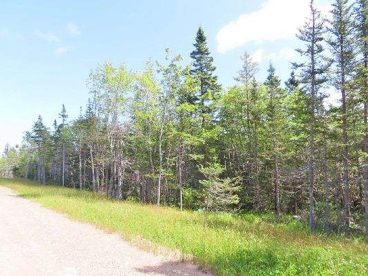 Cape Breton - Tolles Atlantik-Grundstück in herrli